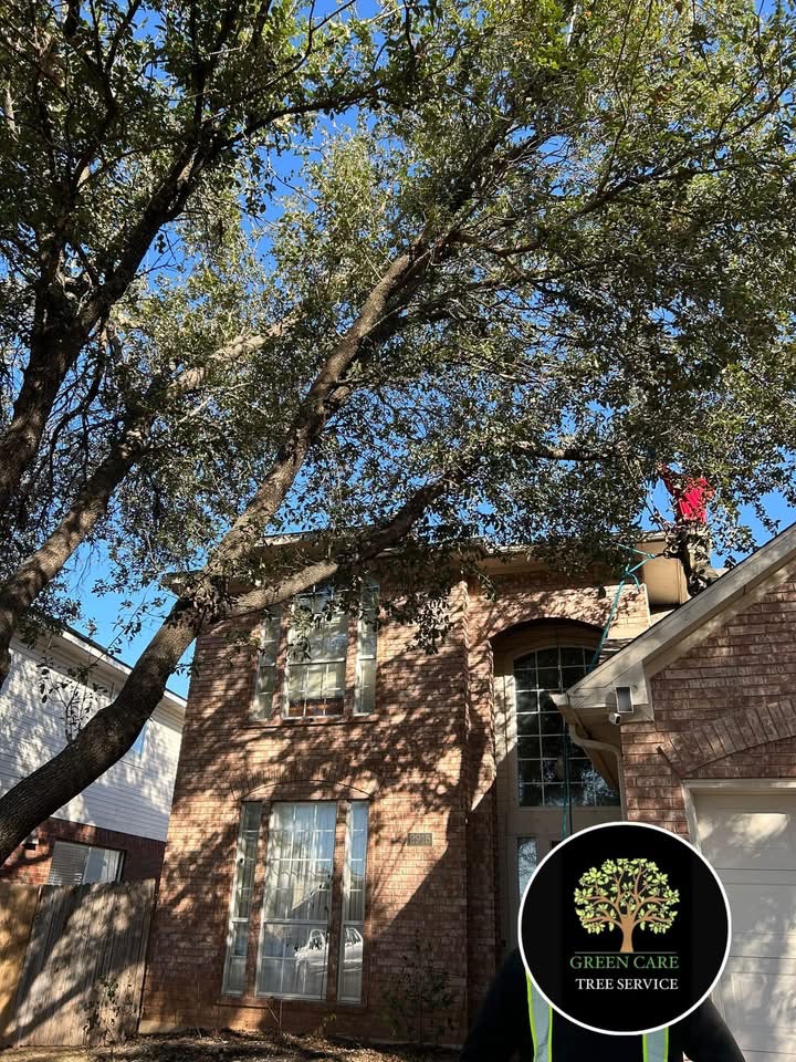 Green Care tree service work at a residential property