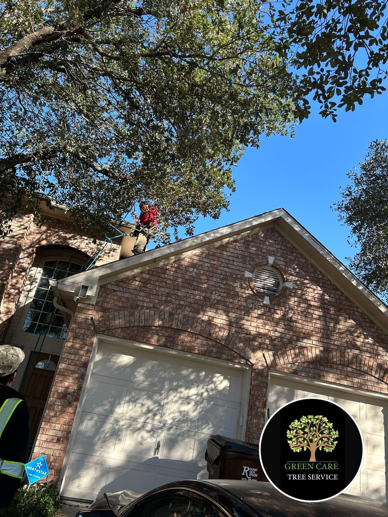 Tree and roof clearing work