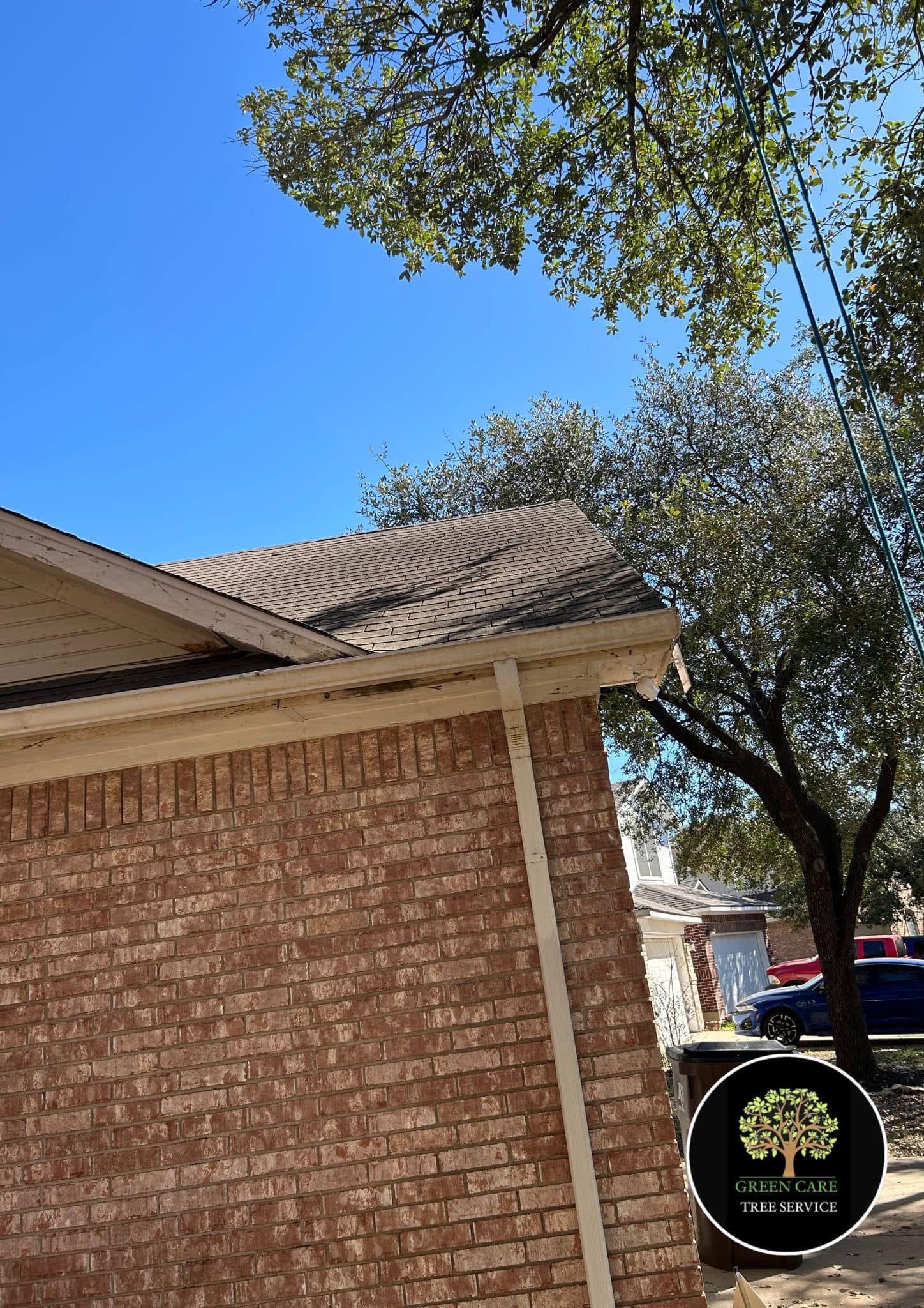 Residential tree service project
