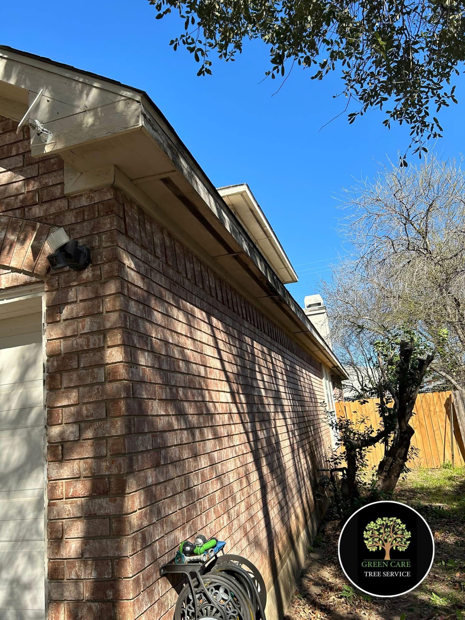 Property maintenance and tree work